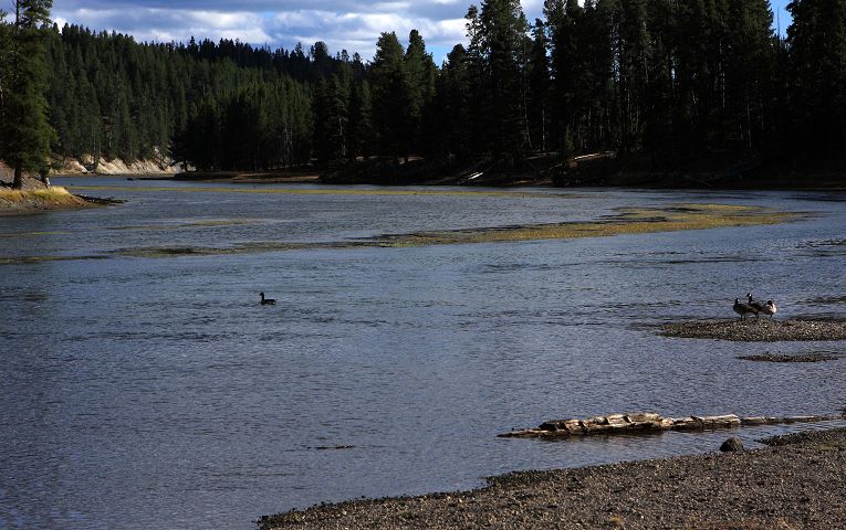 img_7011.jpg