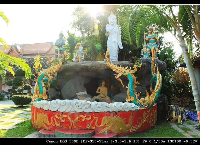 Ƭ 1335.jpg