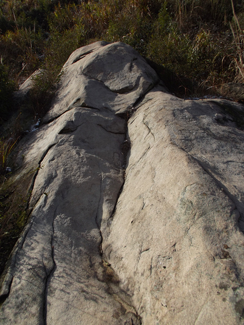 dscf0155_.jpg