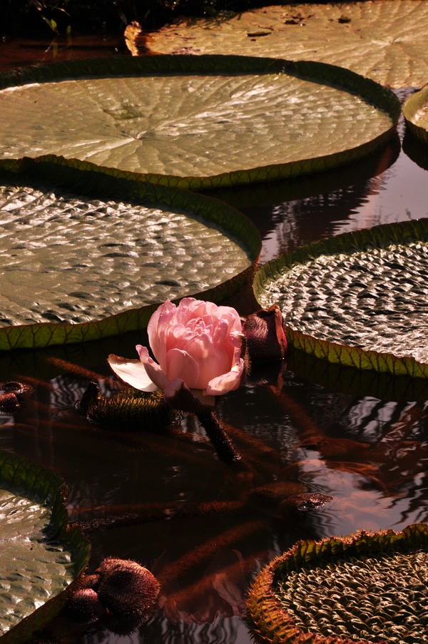 dsc_0205-8.jpg