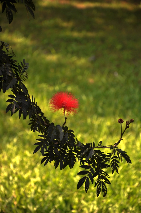 dsc_0265-8.jpg