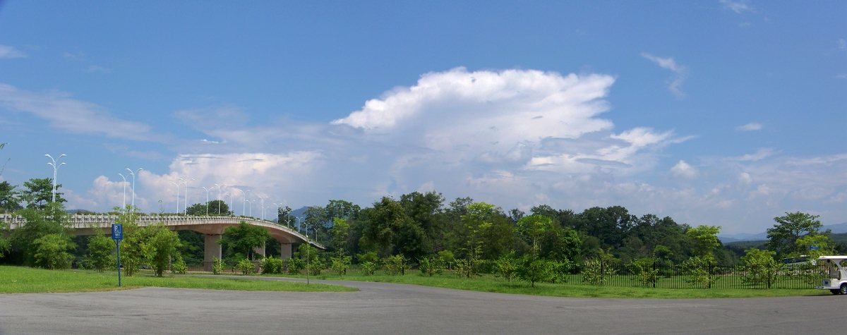 100_4911-8.jpg