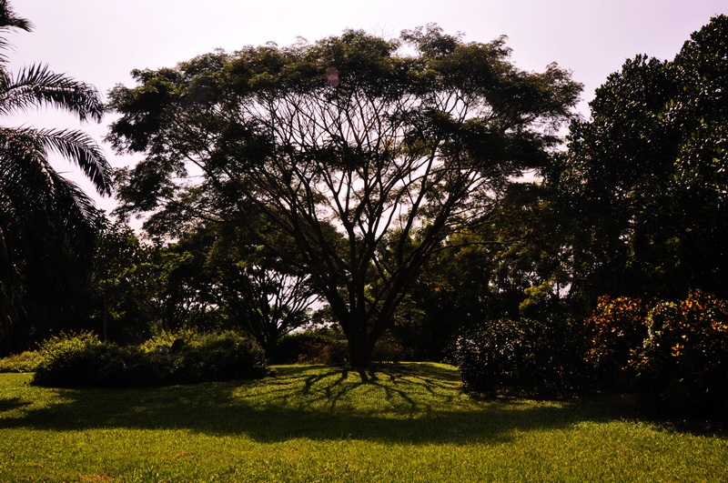 dsc_0221-8.jpg