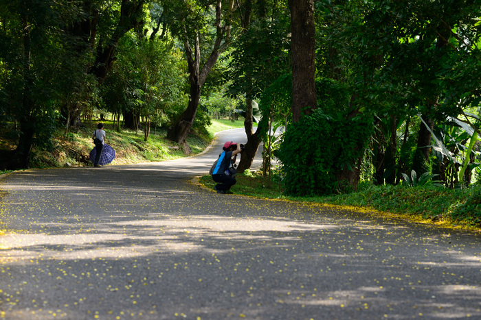 dsc_3042-0-1.jpg