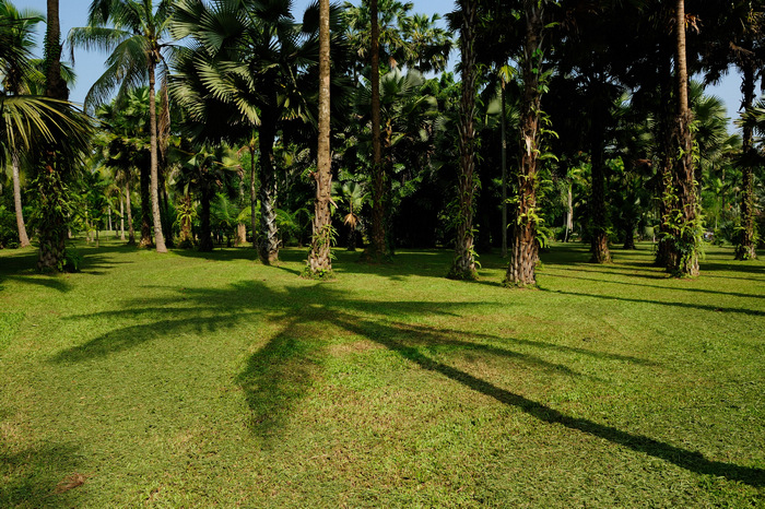 dsc_1226-0.jpg