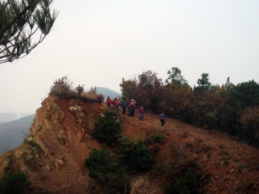 dsc01349-7.jpg