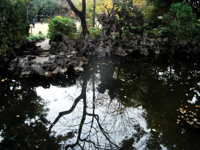 dscf0029.jpg