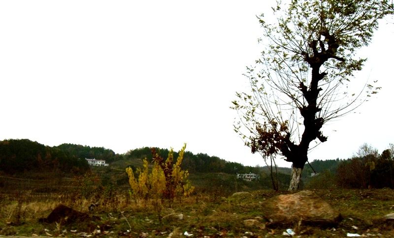 dscn5381.jpg