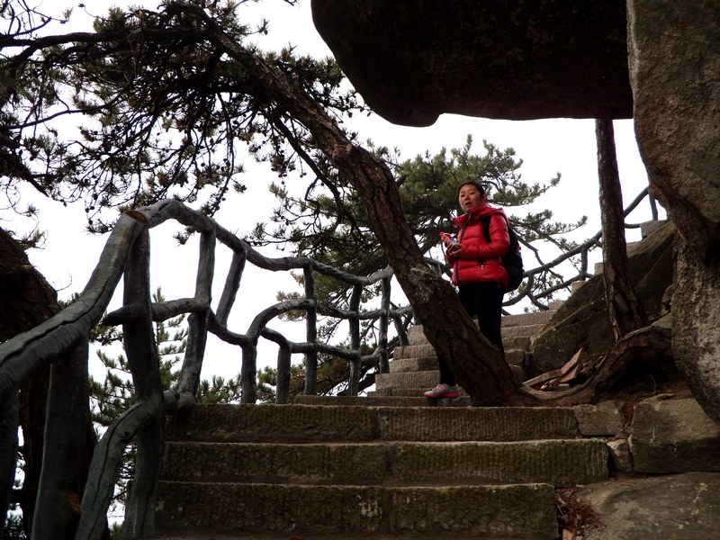 dscn5399.jpg