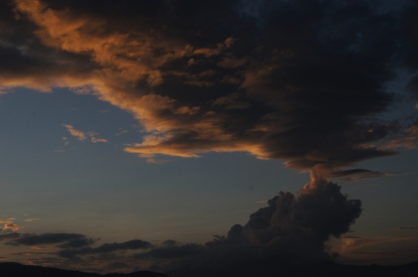 dsc01795.jpg