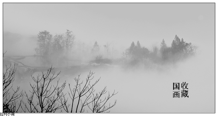 dsc_6549.jpg