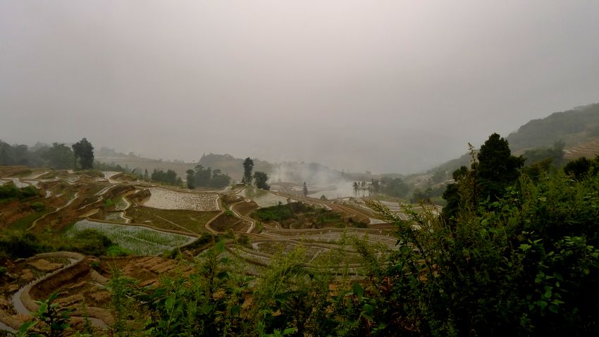 p1020296.jpg