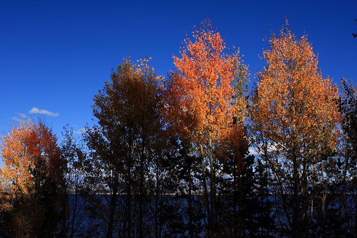 img_7049.jpg