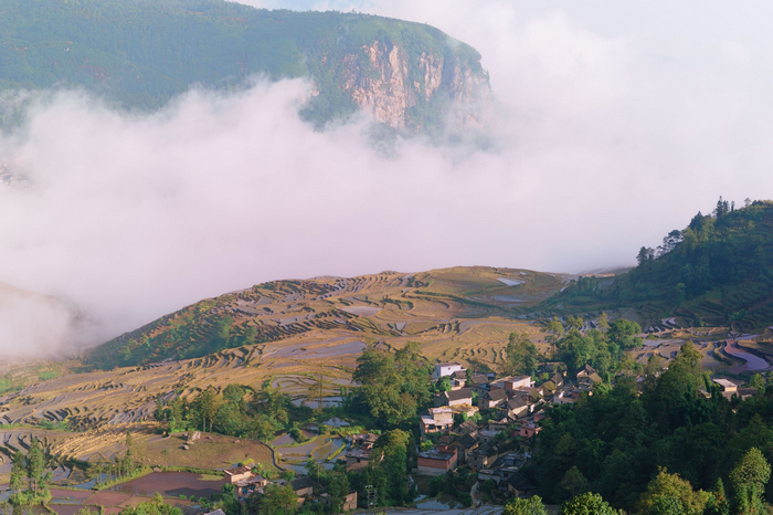 dsc_1539-0-1.jpg