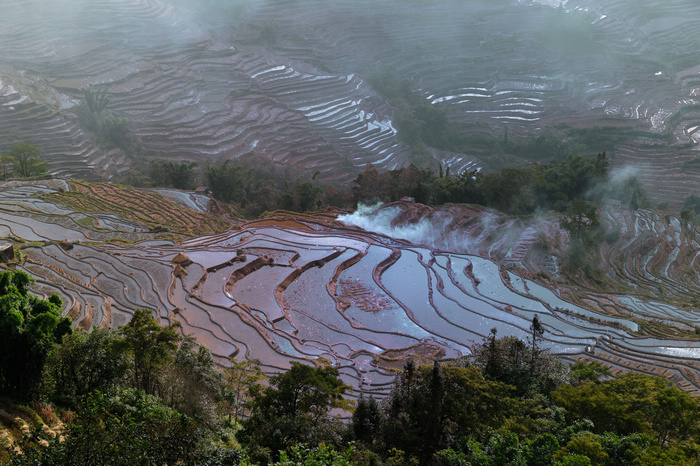 dsc_1613-0-1.jpg