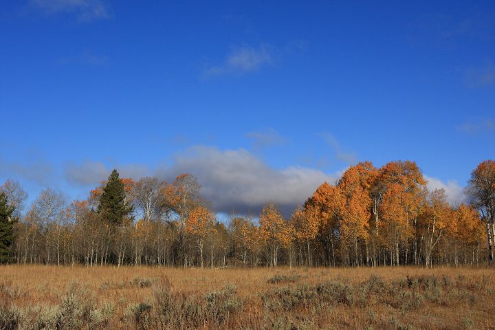 img_7116.jpg