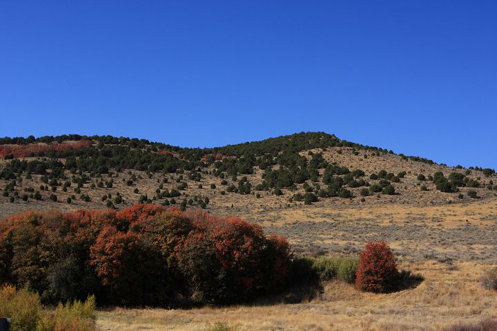img_7142.jpg