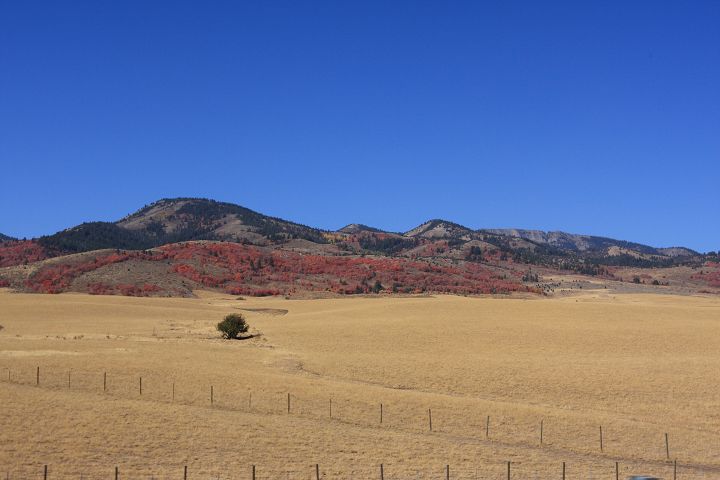 img_7147.jpg