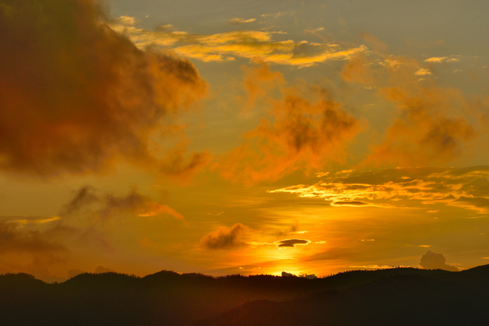 dsc_3785-0-1.jpg