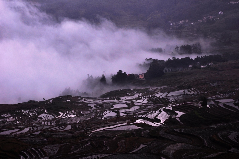 dsc_0532-9.jpg