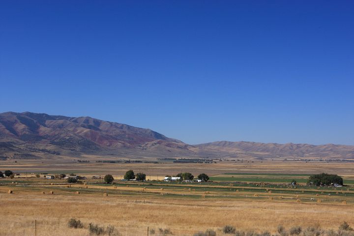 img_7153.jpg