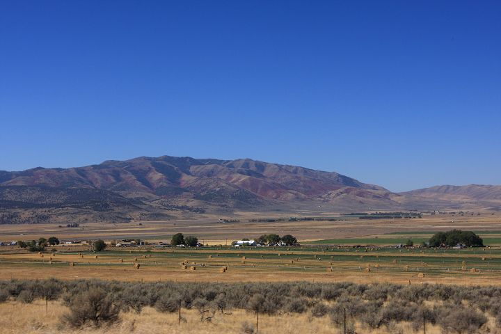 img_7152.jpg