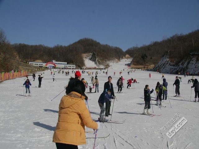 20101209113656968b.jpg