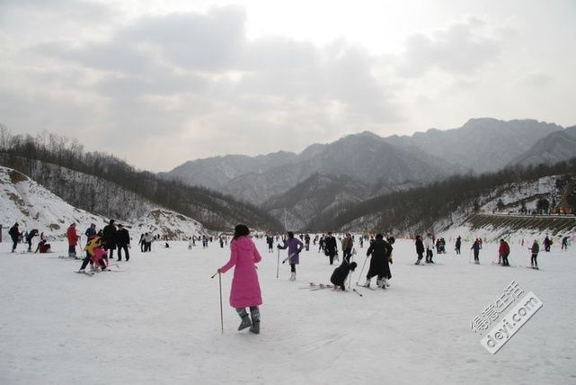 20101209115454656b.jpg