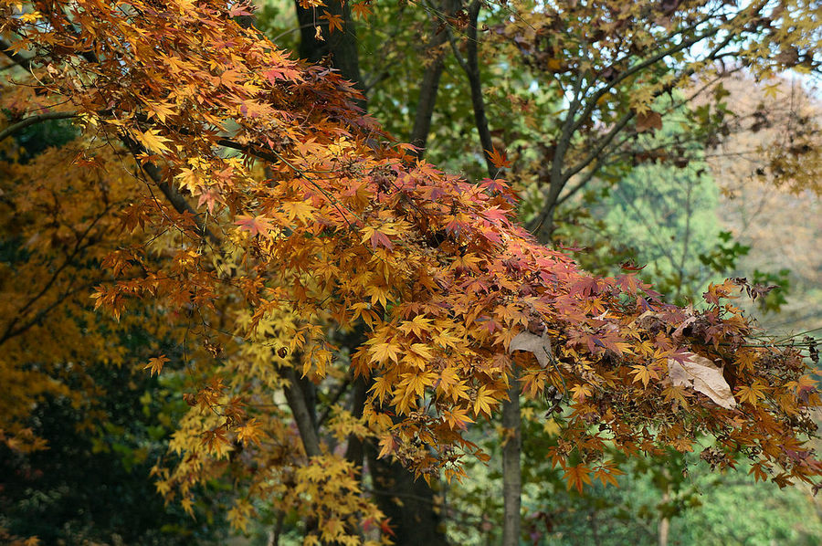 dsc07796.jpg