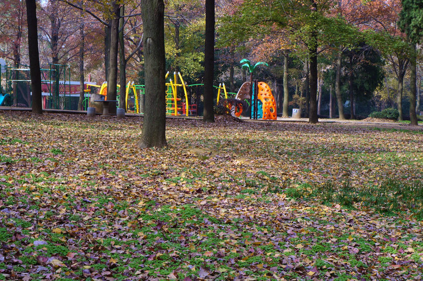 dsc07880.jpg
