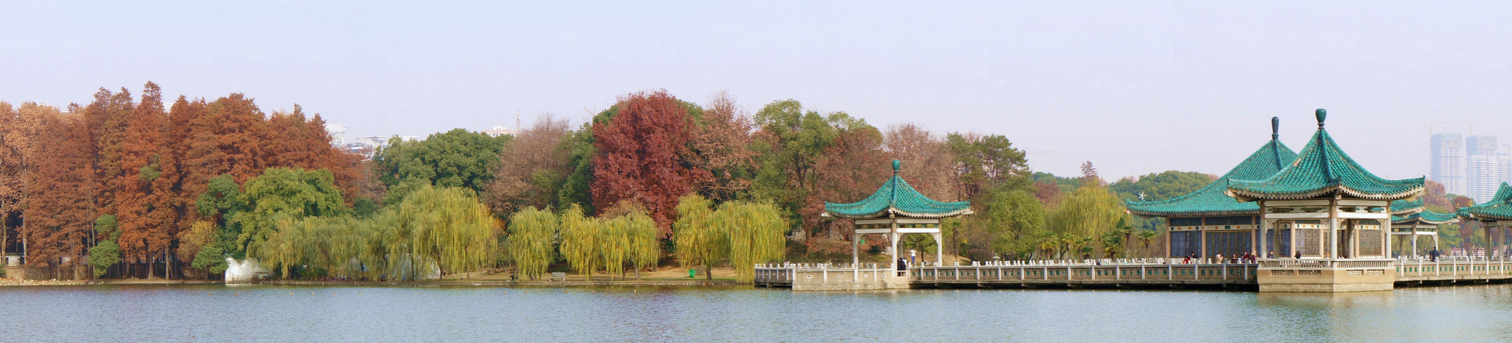 dsc08116.jpg