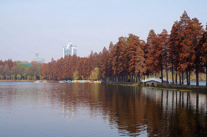 dsc08154.jpg