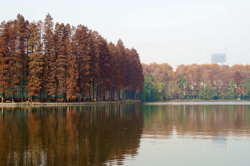 dsc08174.jpg