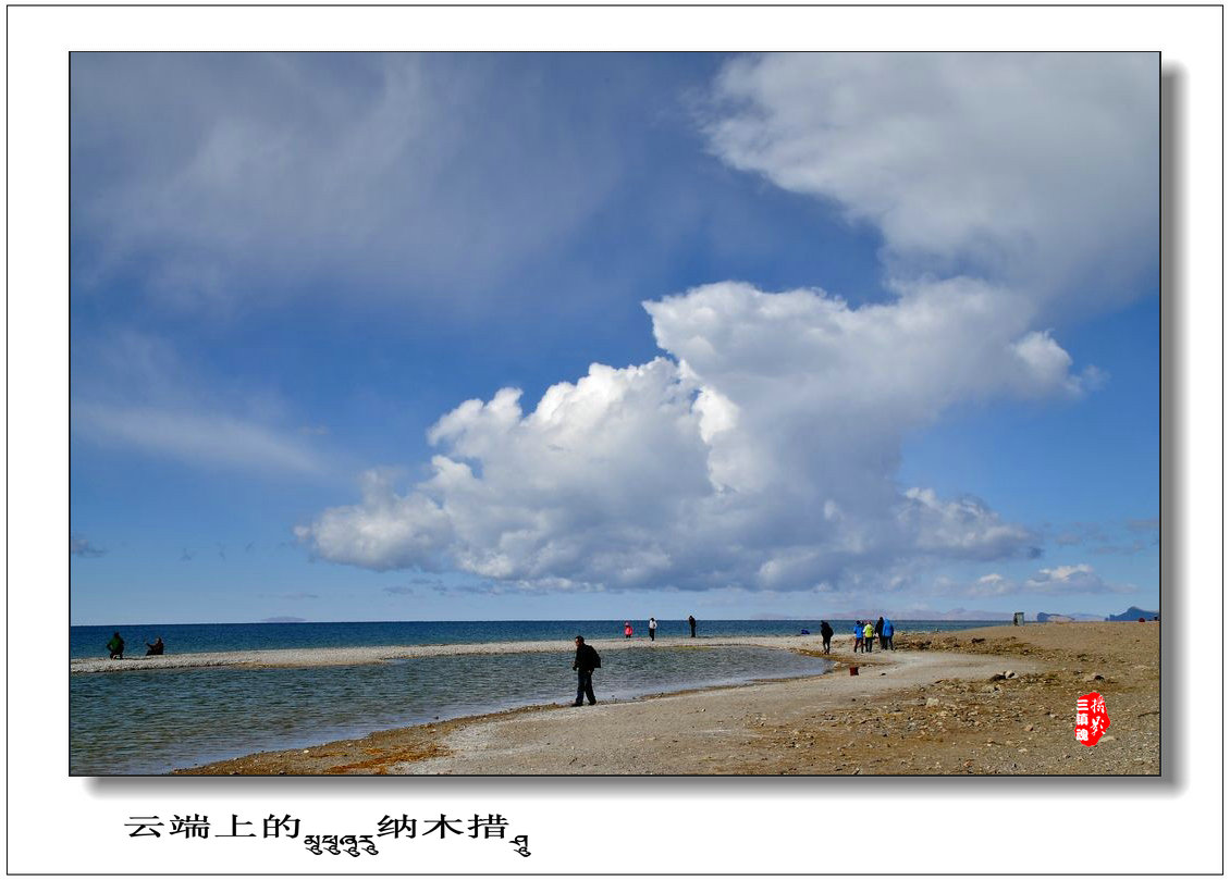 dsc_1554_conew1.jpg