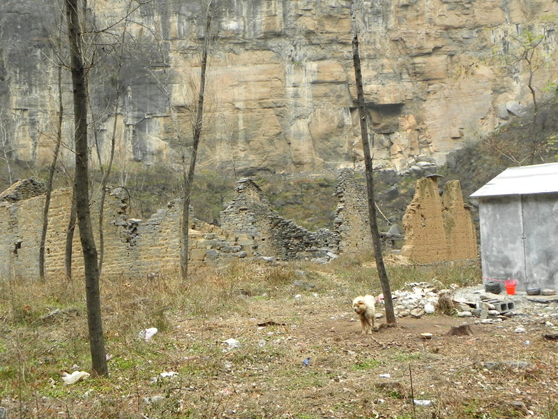 dscn2289_.jpg