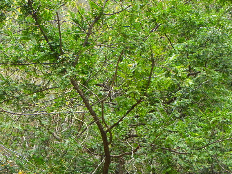 dscn2313_.jpg