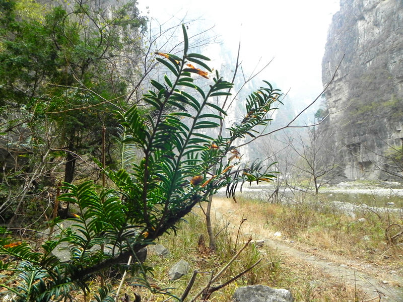 dscn2314_.jpg