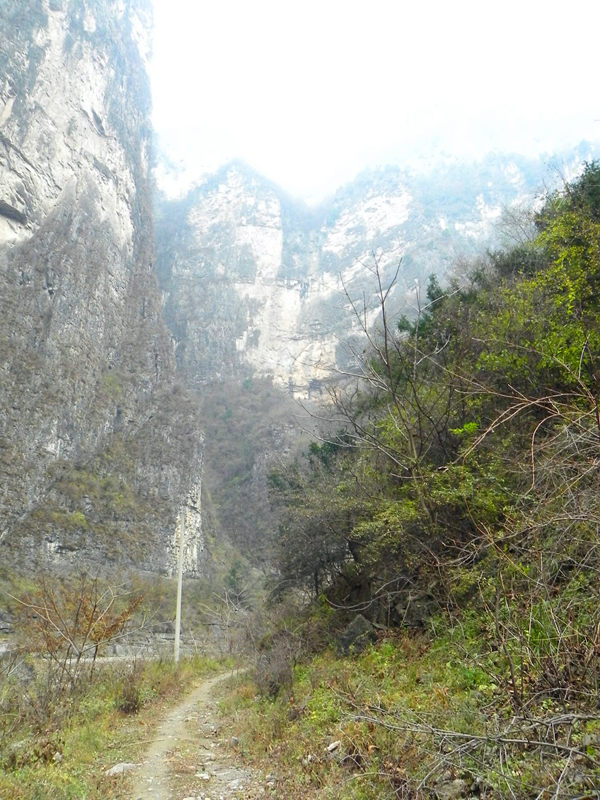 dscn2315_.jpg