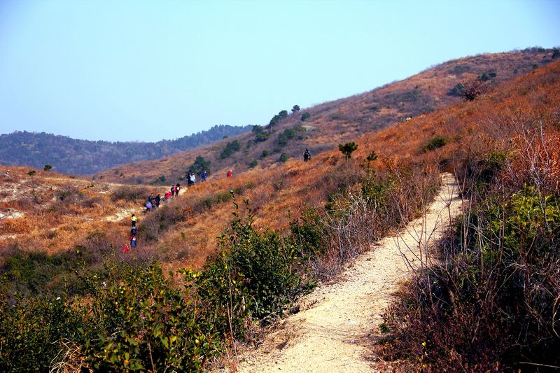 _mg_2661.jpg