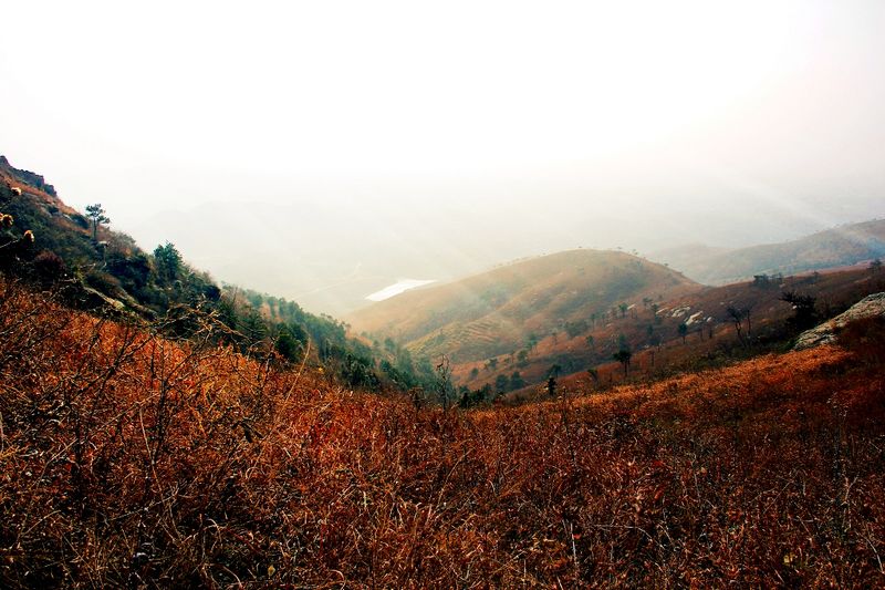 _mg_2843.jpg
