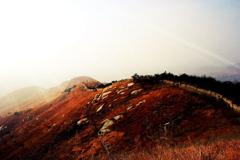 _mg_2860.jpg