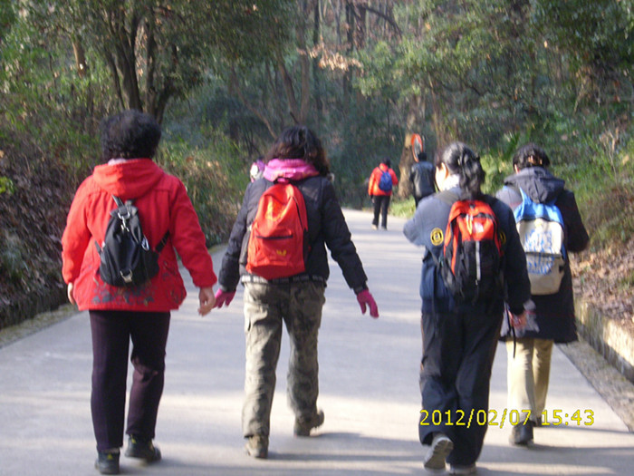 dsci1531.jpg