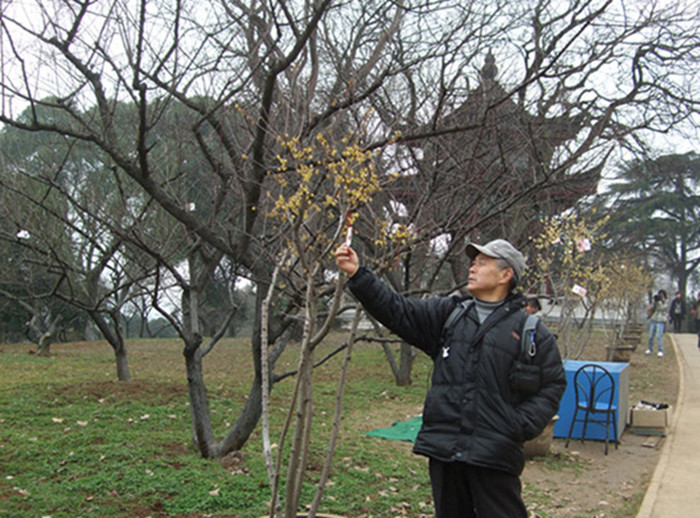 dscf3657.jpg