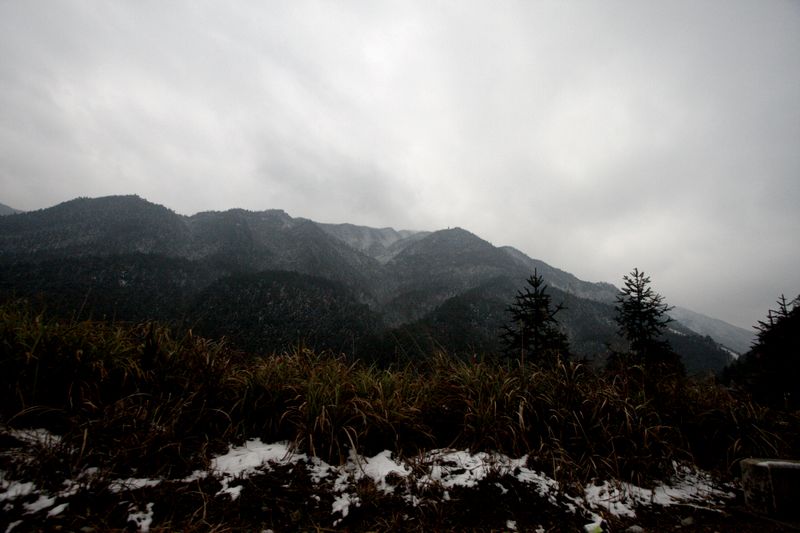 _mg_7910.jpg