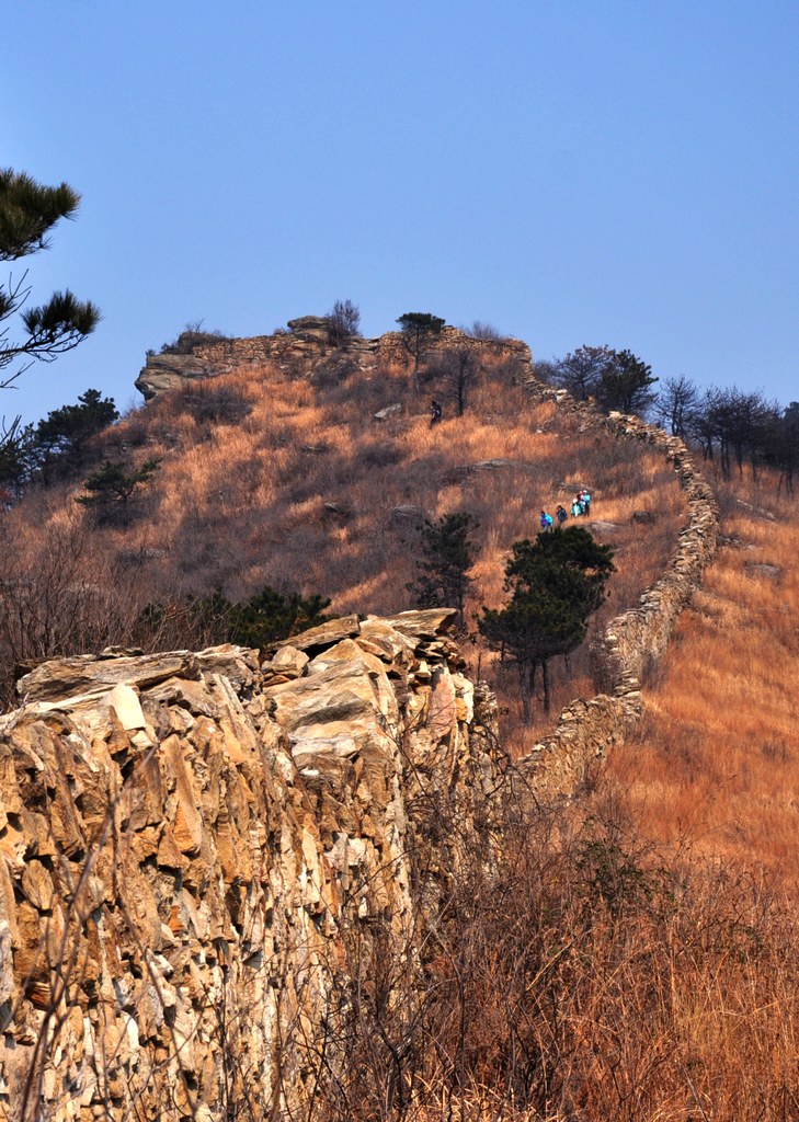 dsc_0792.jpg
