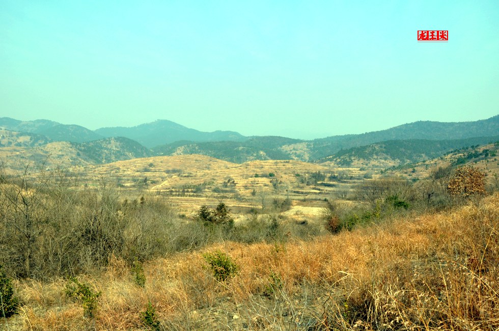 dsc_0422.jpg