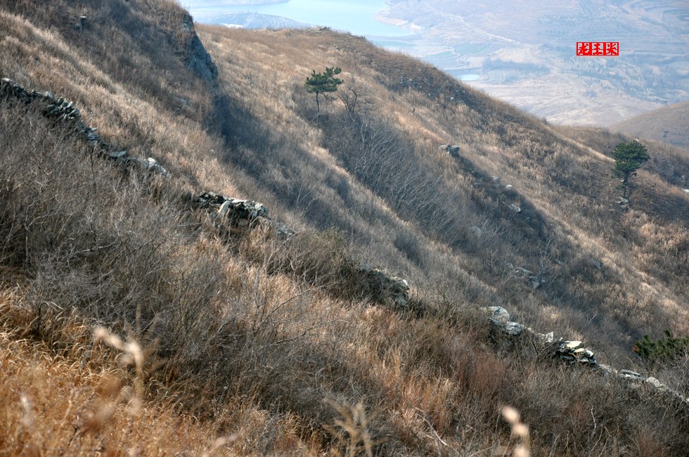 dsc_0457.jpg