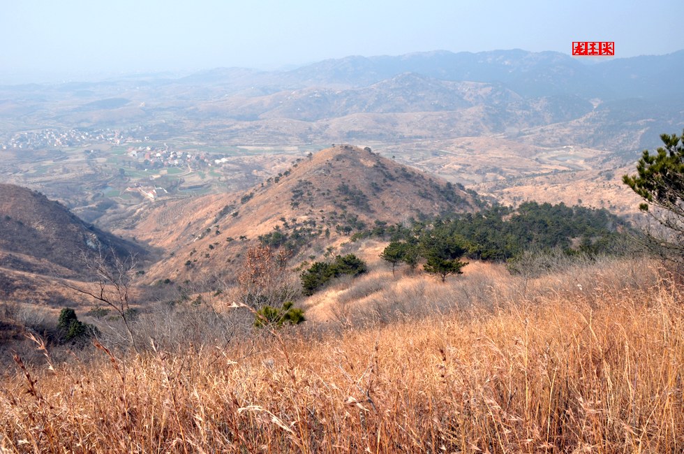 dsc_0459.jpg