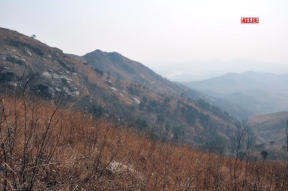 dsc_0545.jpg