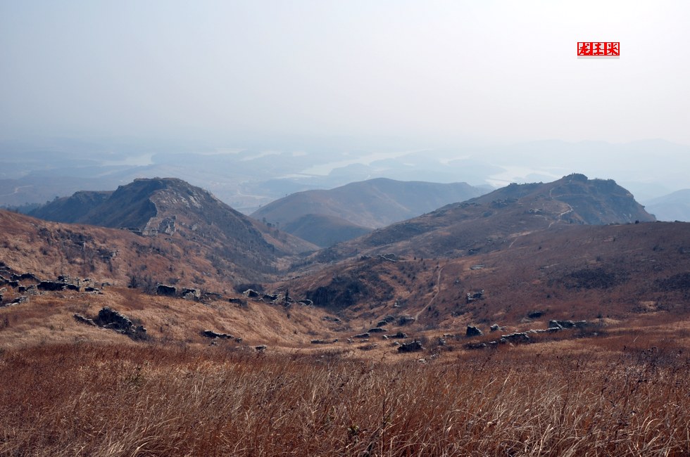 dsc_0568.jpg
